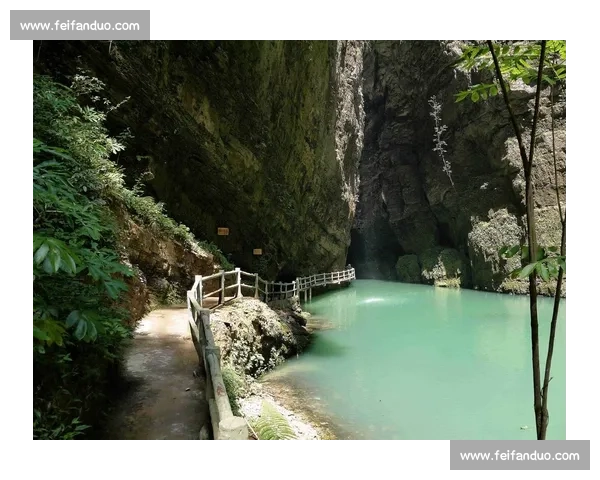 央视盯上开阳猴耳天坑！出片率 90%，这 “飞翔” 太上头