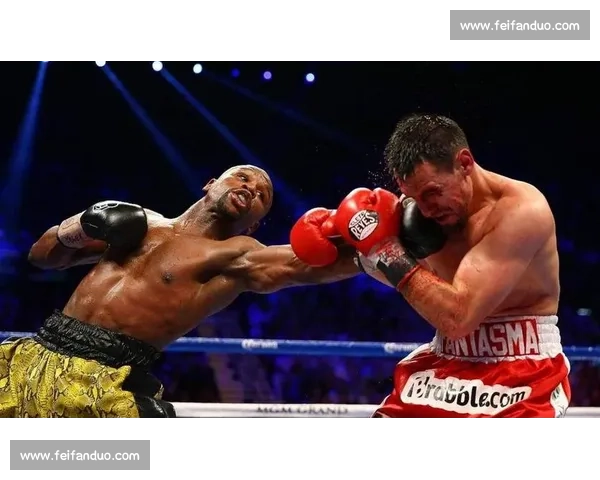戈洛塔与刘易斯拳击对决回顾 双方激烈较量为拳坛历史留下经典瞬间